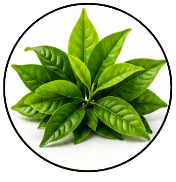 ingredientes-2.png
